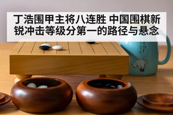 丁浩围甲主将八连胜 中国围棋新锐冲击等级分第一的路径与悬念